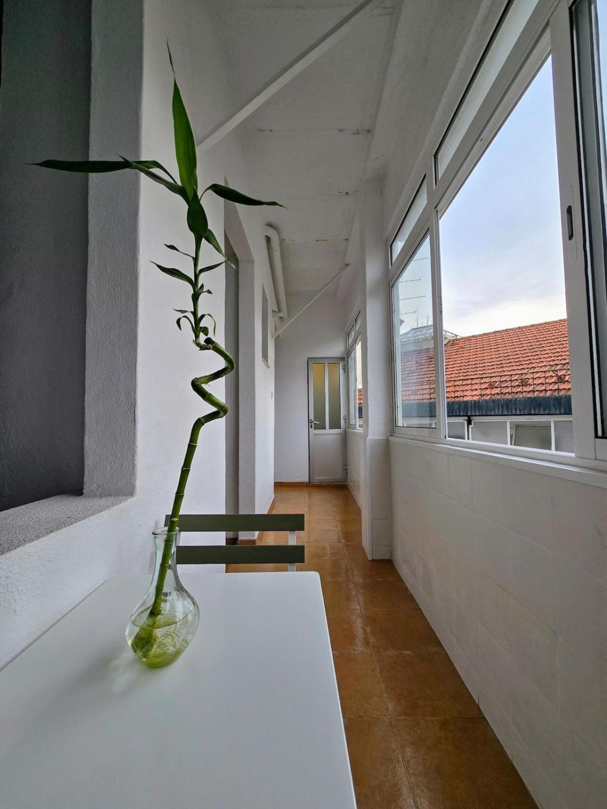 Central Apartment Apartment *